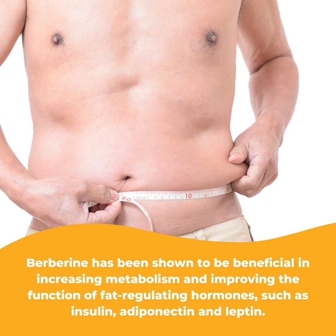 Berberine 500 mg plus Cinnamon and Chromium