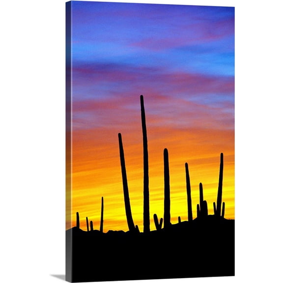 Great BIG Canvas | "Solstice Sunset" Canvas Wall Art - 24x36