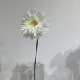 thumbnail image 2 of White Gerbera Daisy, 2 of 3