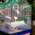 thumbnail image 4 of unbranded Automatic Parrot Feeder White Hanging Bird Food Tray with Antisplash Prevention Feature, 4 of 8