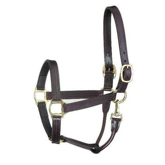 Perri's Premium Track Style With Snap Leather Show Halter