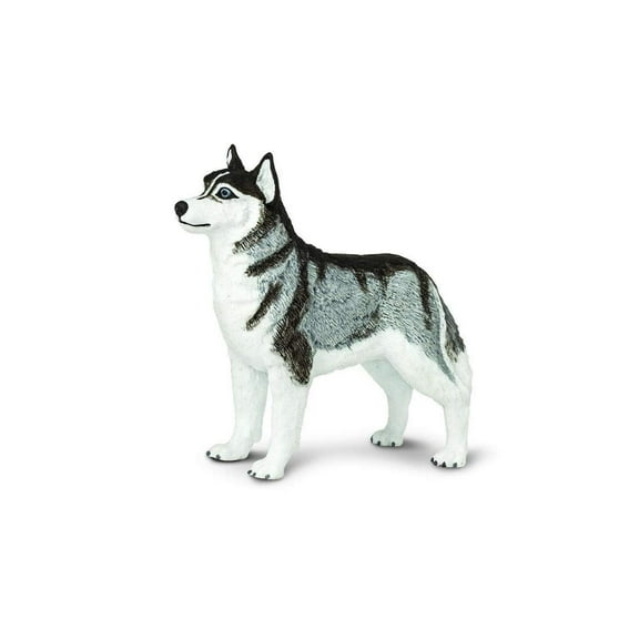 Safari Ltd. Siberian Husky Figurine - Lifelike 3.25" Model Figure - Educational Toy for Boys, Girls, and Kids Ages 3 