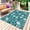 Snow Teal, variant on Green White Floral Outdoor Rug 4x6 Ft - Reversible Patio Rug Outdoor Camping Rugs, Farmhouse Retro Botanical Leaves Washable Indoor Outdoor Area Rugs, Non-Slip Outdoor Carpet Runner for Deck/Porch