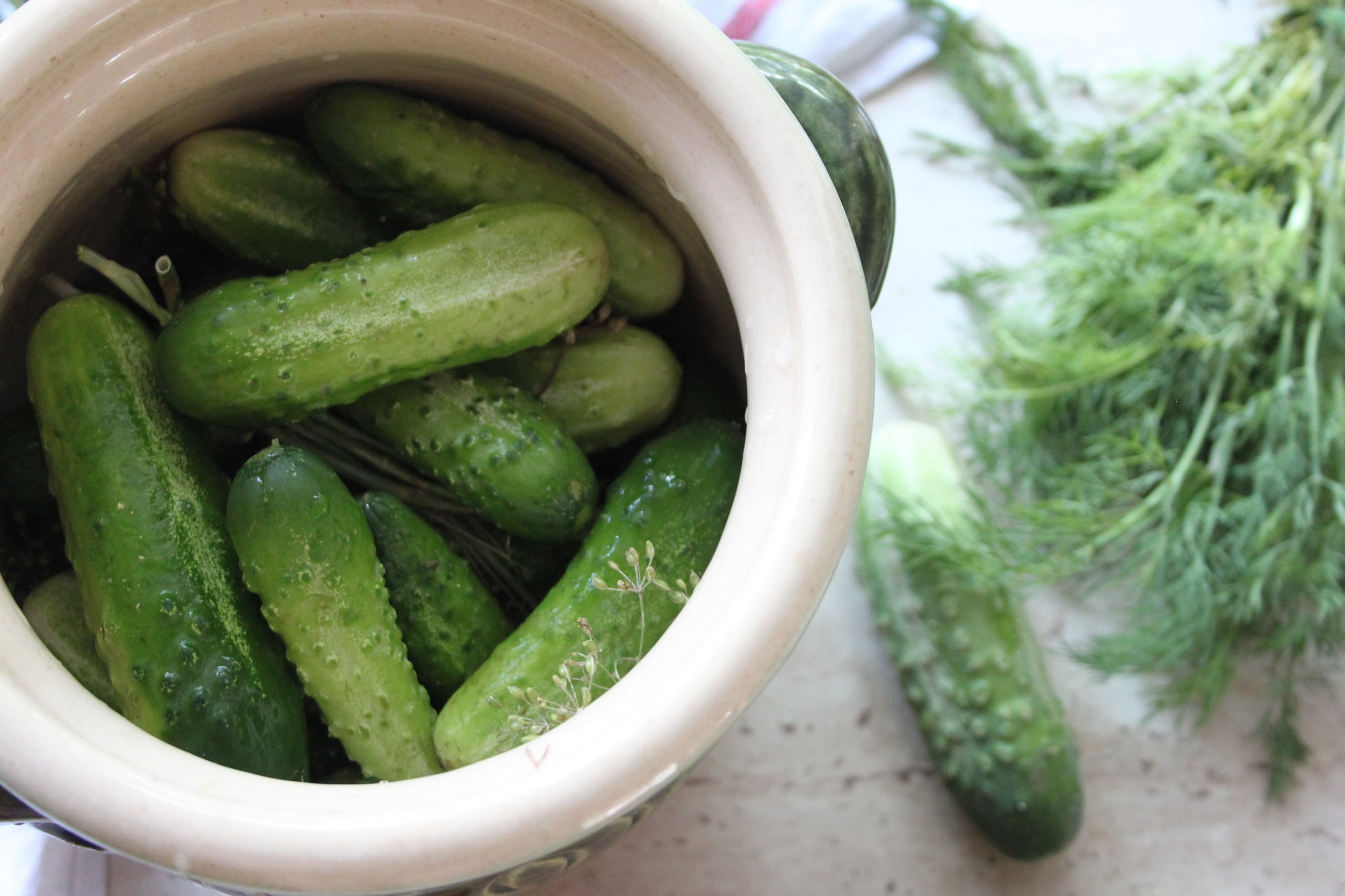 20 Seeds = = Homemade Pickles Cucumber Seed Pack All Natural Seed
