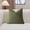 Green522, variant on Tuvgenk Solid Color Throw Pillow Covers Comfort Army Green 18x18 in Couch Cushion Covers Home Decorative Pillow Cover with Zipper