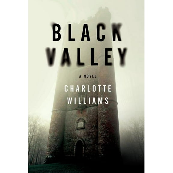 Black Valley, (Paperback)