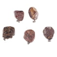 thumbnail image 1 of Collar de piedra Pulida Sunnimix marrón, 1 of 7