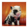 thumbnail image 1 of DIY diamante pintura punto de cruz 5D cerdo taladro completo bordado decoración del hogar Likrtyny decoración de arte, 1 of 9