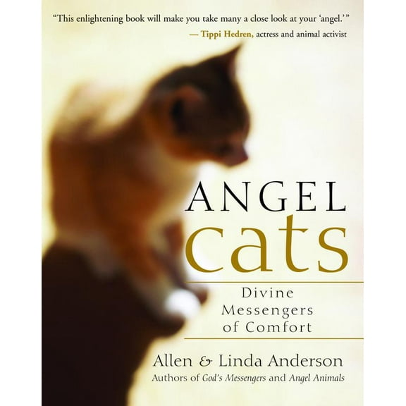 Pre-Owned Angel Cats: Divine Messengers of Comfort (Paperback) 1577314484 9781577314486