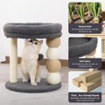 Small Cat Tree for Indoor Cats with Large Cozy Plush Top Perch, Natural