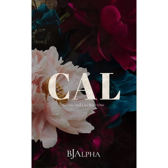 CAL Discreet Cover: Secrets and Lies Discreet Book 1, (Paperback)