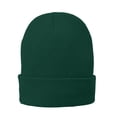 thumbnail image 1 of Top Headwear Fleece-Floying Knit Cap - Atlético Verde TOP HEADWEAR Beanie, 1 of 1