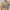 19-Gray, variant on YWDJ Bras for Women Push up Pullover Workout Bras Wirefree Gym Bras Wide Strap Full Coverage Bras Low Support Seamless Bras Padded Plus Size Bras Layer Double Lined Wrap Solid Bras Beige 3XL