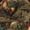 Color 3, variant on Peel and Stick Wallpaper Rustic Barnyard Rooster Hen Farmhouse Rustic Vegetables Wall Mural 23.6in x 9.8ft Self Adhesive Removable Wall Paper Renter Friendly Wallpaper for Nursery Bedroom Cabinets