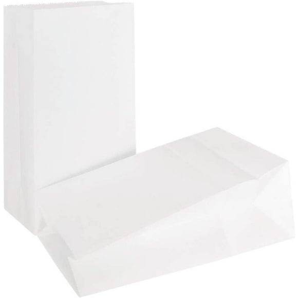 shiyou-Kraft Paper Lunch Bags 50Pcs Durable Oil-Proof Bread Hamberger Bag, Grocery Sack Lunch Bags, Food Storage Bags with Foldable Mouth (White, 4.72x2.75x8.46inch)