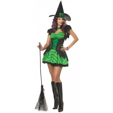 Hocus Pocus Witch Adult Costume - Large
