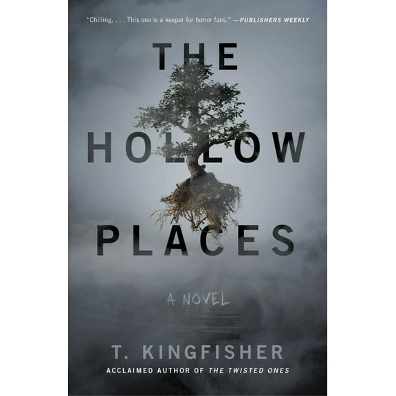 The Hollow Places: A Novel (Paperback)