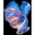 thumbnail image 1 of Guppy lienzo pintura sin marco pintura al óleo por números pared arte carteles imágenes Likrtyny Arte deco, 1 of 9