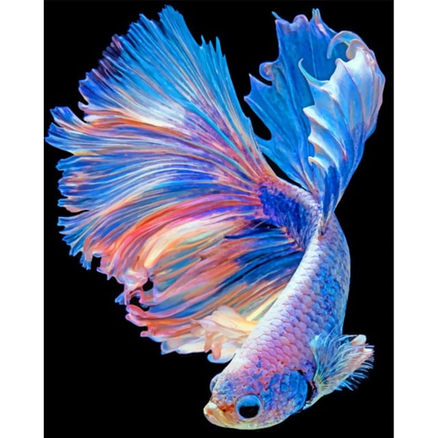 Guppy lienzo pintura sin marco pintura al óleo por números pared arte carteles imágenes Likrtyny Arte deco