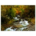thumbnail image 2 of Flowing River in Autumn - Landscape Photography Canvas Print, 2 of 3