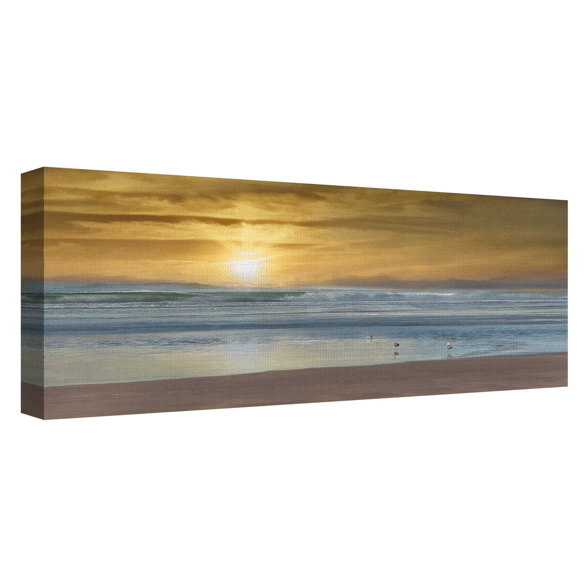 Masterpiece Art Gallery Wading Ocean Birds By Mike Caliscibetta Canvas Art Print 16" x 48"