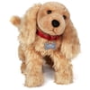 Cold Nose Puppies: Cocker Spaniel