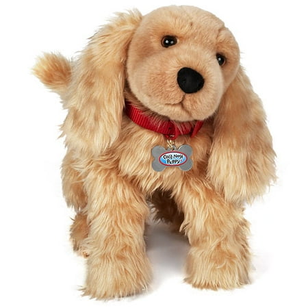 Cold Nose Puppies: Cocker Spaniel