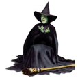 thumbnail image 1 of Wicked Witch Melting - Magicien d'Oz Stand-Up en Carton Taille Réelle, 1 of 1
