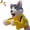 01-siberian Husky, variant on Kung Fu Animal Punching Puppet Toy, Plush Interactive Play Toy
