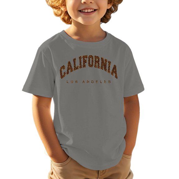 Razzly Tween Kid Shirt Boy Tee Set Youth Thermal Shirt Boys 5 Short Sleeve Shirts Basketball Top Youth Tee Shirts Boys Sports Solid Color 2t Short Sleeve Shirts Boys Boys(Dark Gray,12-13 Years)
