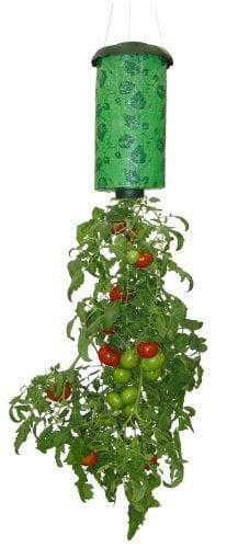 Topsy Turvy Tomato/Herb/Seed Upside Down Planter Kit