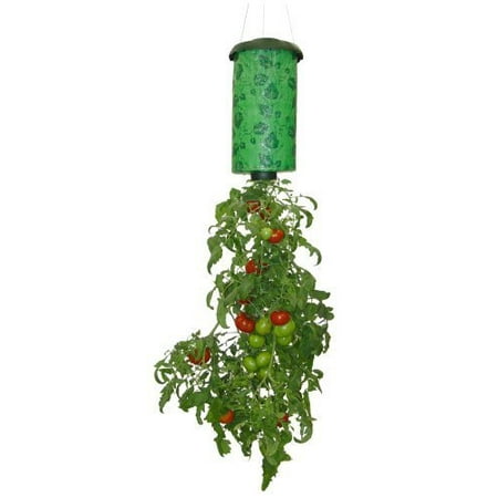 Topsy Turvy® TT501116 Upside Down Tomato Planter, As Seen On (Best Tomatoes For Pots)