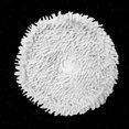 thumbnail image 3 of 5 Pcs Mop Cloth For Xiaomi Dreame Bot W10 Robot Vacuum Cleaner, 3 of 5