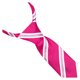 thumbnail image 3 of Supreme Products - Corbata de Concurso de Rayas para Niños/Niñas (Rosa), 3 of 3
