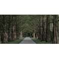 thumbnail image 2 of Prime, Marcus 18x11 White Modern Wood Framed Museum Art Print Titled - Freedom Road, 2 of 4