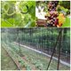 thumbnail image 5 of Red para plantas trepadoras, red para estacas de malla grande, red para enrejados trepadores de polietileno, para tomates, uvas, pepinos, otras frutas y verduras (6 pies 15 pies), color blanco esquí esquí Gafas de esquí, 5 of 5