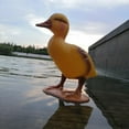 thumbnail image 2 of Cute Mandarin Duck Pool Decoration Animals Sculpture Statues Realistic, 2 of 8