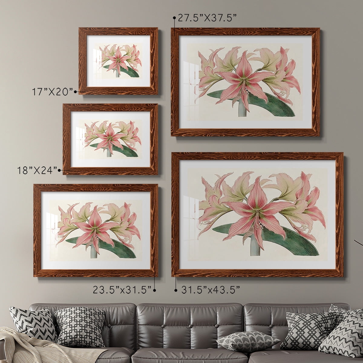 Amaryllis Varietals I-Premium Framed Print - Ready to Hang