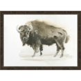 thumbnail image 1 of Somerset House Publishing 5863 Buffalo, Framed Textured Fine Art Print - Rustic Grey Wooden, 1 of 1