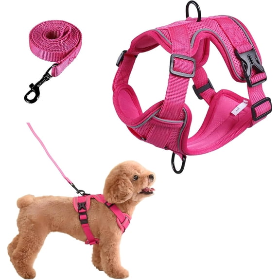 Small Dog Harness & Leash Set | Adjustable Puppy Cat Walking Vest Lead Pink XXS