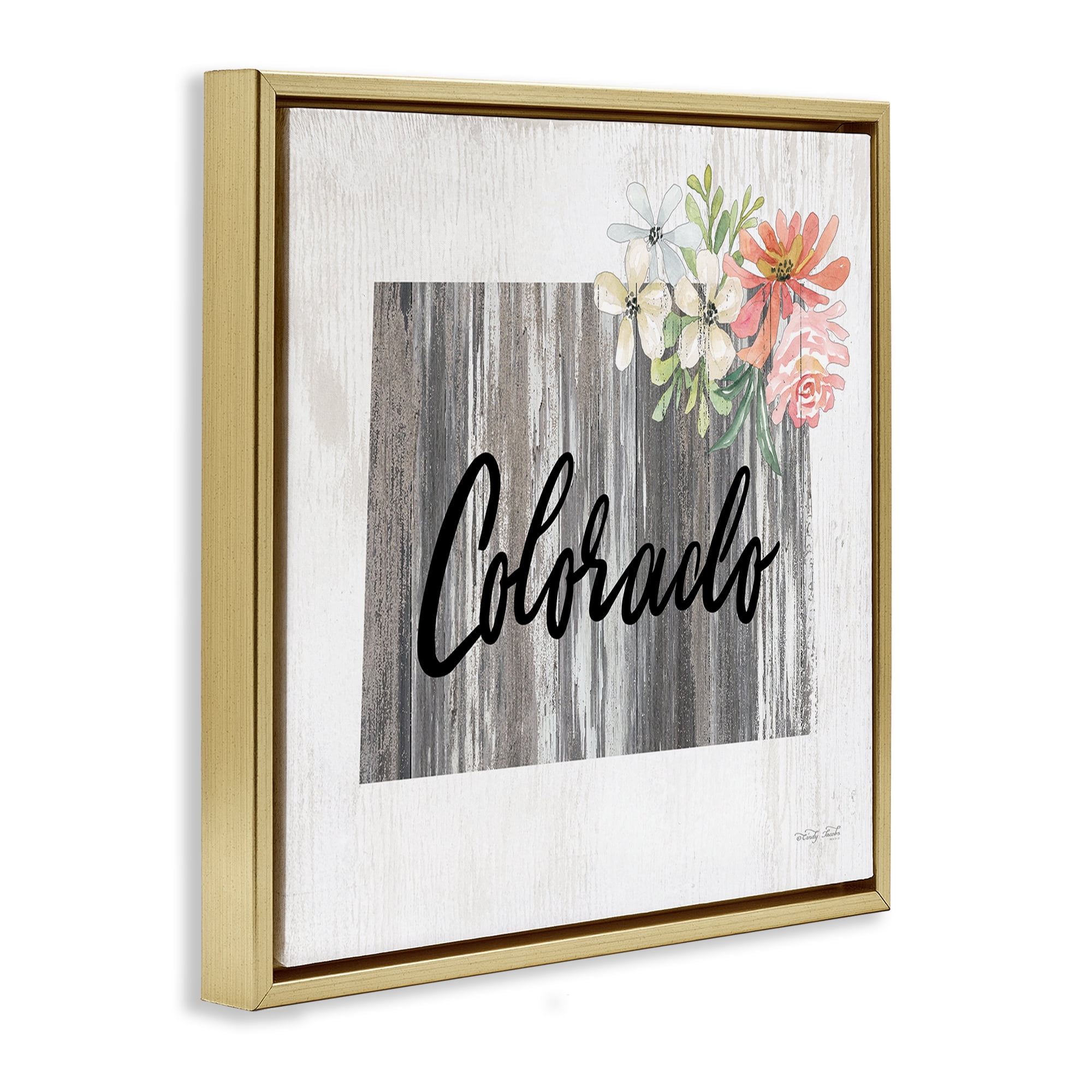 Stupell Industries Shabby Chic Colorado Botanical & Floral Painting Gold Floater Framed Canvas Art Print Wall Art, 25 x 25