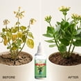 thumbnail image 5 of Kieccall Plant Growth Nutrient Solution Plant System Nutrition Supplement for Home Potted Flowers Indoor Garden Plants Daily Maintenance 1.69 fl oz, 5 of 8