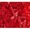 red, variant on 120Pcs Building Blocks Bulk Lot Pack Sorted By Color Bricks Block Plate Toys Small Particles Bulk Compatible Legoeds DIY Kit,Red pattern,250g-bag
