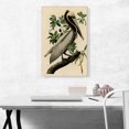 thumbnail image 2 of ARTCANVAS Brown Pelican Canvas Art Print by John James Audubon - Size: 26" x 18" (1.50" Deep), 2 of 9