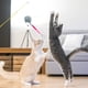 thumbnail image 5 of 4 piezas de juguetes para gatos, bolas de pelo de colores, juguetes con varita de cuerda, cabezales de repuesto complementarios, juguetes interactivos para gatos, juguetes para gatos y, 5 of 5