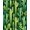 Green, Pattern 2, variant on Flatwoven High Traffic Area Rug, Vibrant Tropical Cactus Aesthetic, Non Slip, Stain Resistant, Washable Area Rugs for Living Room, Bedroom(Green, 4X6)