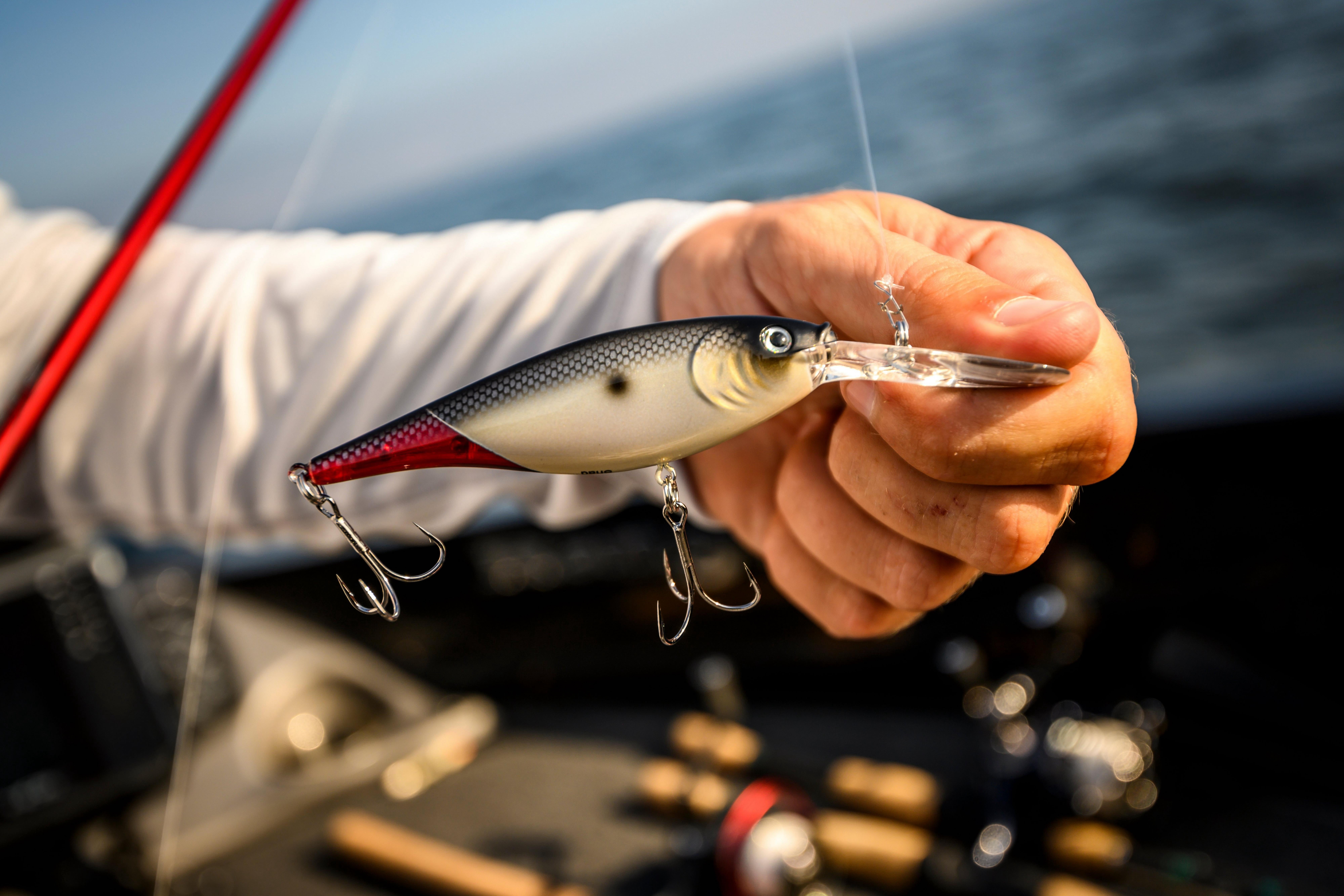 (4 pack) Flicker Shad®