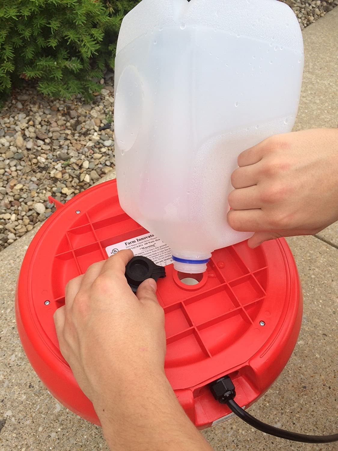 Farm Innovators HPF-100 Heated Hanging Poultry Water Fountain, Red (4 Pack)