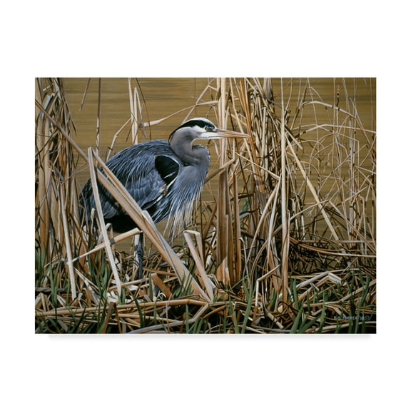 Trademark Fine Art 'Early Spring Great Blue Heron' Canvas Art by Ron Parker