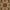 Ivory, variant on Nourison Persian Arts Oriental Bordered Ivory Area Rug